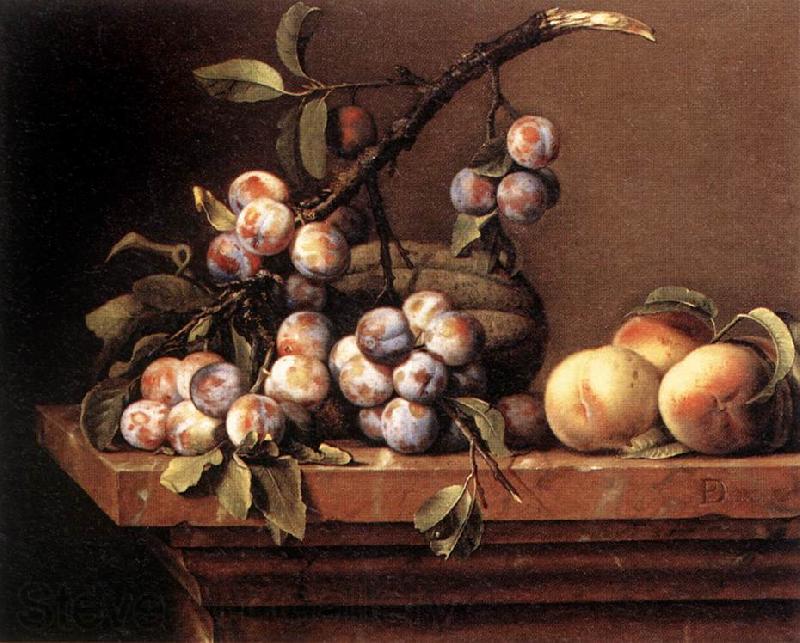 DUPUYS, Pierre Plums and Peaches on a Table dfg Spain oil painting art